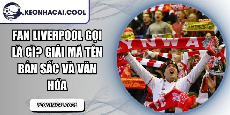 Fan Liverpool Gọi Là Gì? Giải Mã Tên Bản Sắc Và Văn Hóa 7 Fan Liverpool Gọi Là Gì