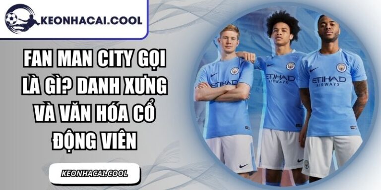 Fan Man City Gọi Là Gì? Danh Xưng Và Văn Hóa Cổ Động Viên 1 Fan Man City Gọi Là Gì