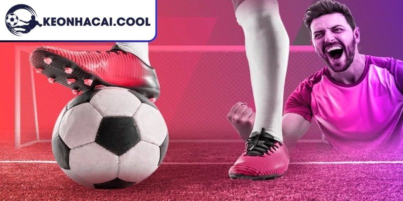 Thông tin cụ thể về Soccer Pingoal Max