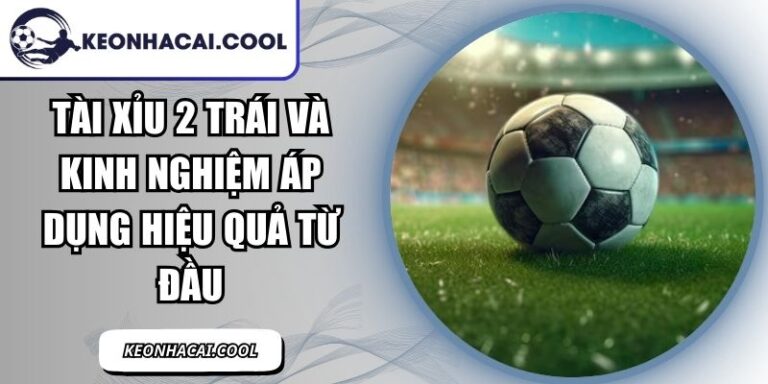 Tài Xỉu 2 Trái Và Kinh Nghiệm Áp Dụng Hiệu Quả Từ Đầu 2 Tài Xỉu 2 Trái