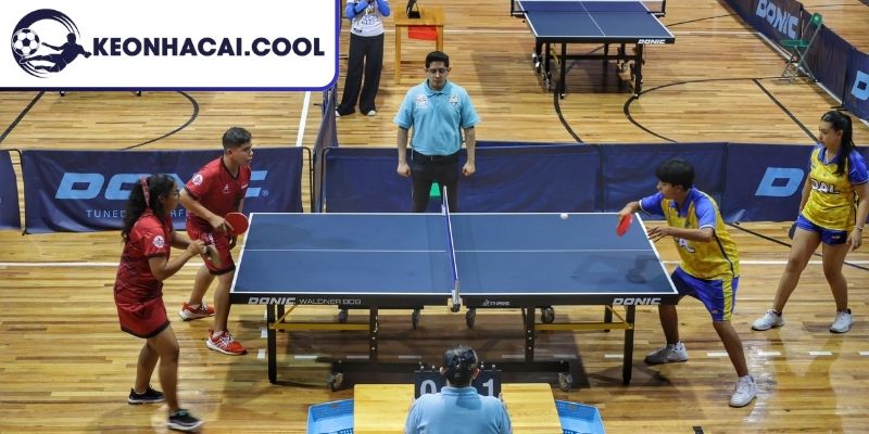 Cá Cược Bóng Bàn, Hình Thức Đặt Cược Tốc Độ Và Kịch Tính 1 Dữ liệu khái quát về hình thức cá cược bóng bàn