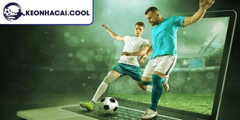 Cách đọc cược đơn giản cho newbie nắm bắt