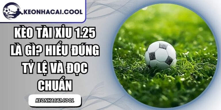Kèo Tài Xỉu 1.25 Là Gì? Hiểu Đúng Tỷ Lệ Và Đọc Chuẩn 7 Kèo Tài Xỉu 1.25 Là Gì