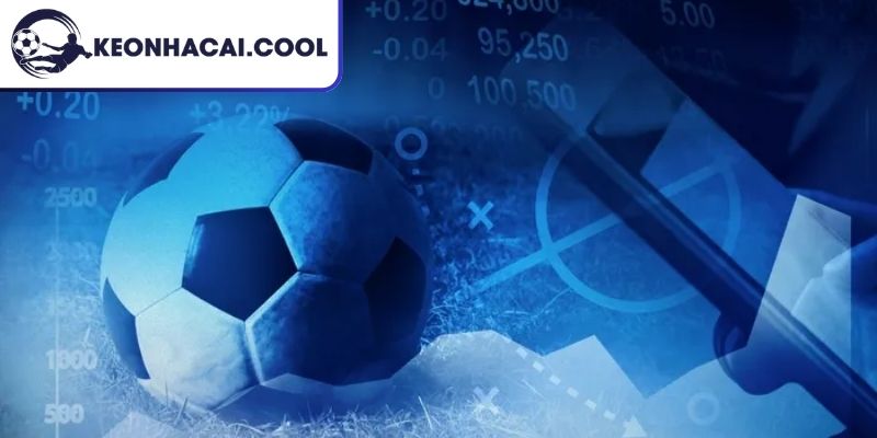 Kèo Tài Xỉu 1.25 Là Gì? Hiểu Đúng Tỷ Lệ Và Đọc Chuẩn 3 Kinh nghiệm từ cao thủ